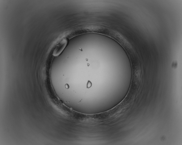 X0000094910734200711291255