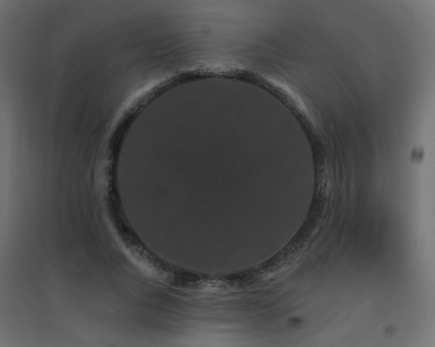 X0000094910736200711291255