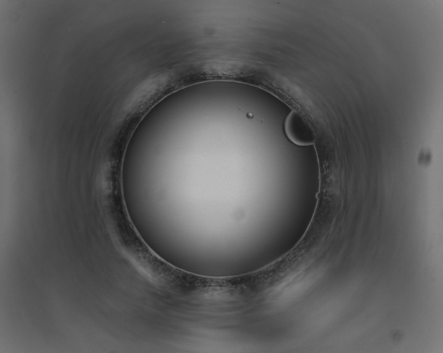 X0000094910738200711291255