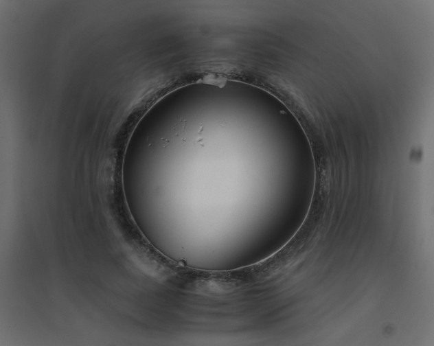 X0000094910739200711291255