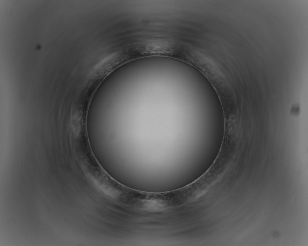 X0000094910741200711291255