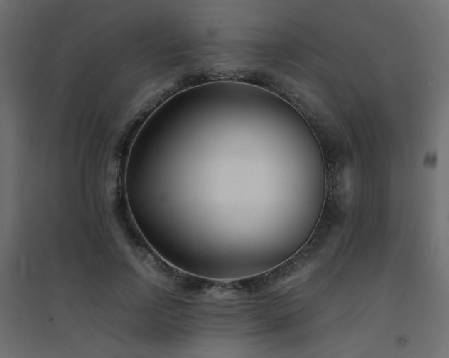 X0000094910742200711291255
