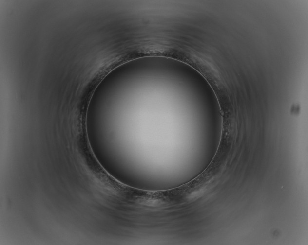 X0000094910743200711291255