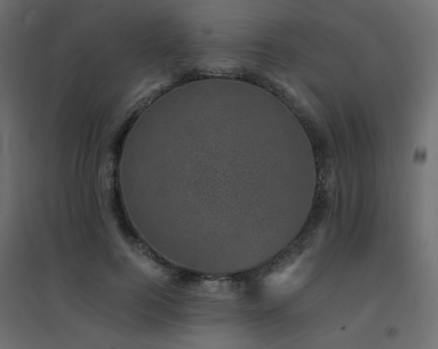 X0000094910744200711291255