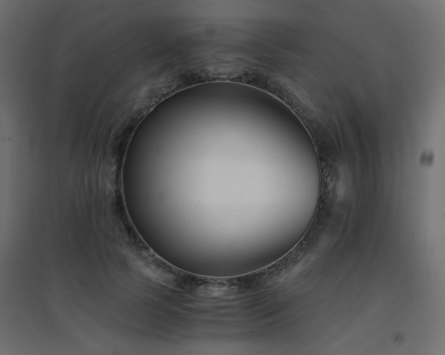 X0000094910745200711291255