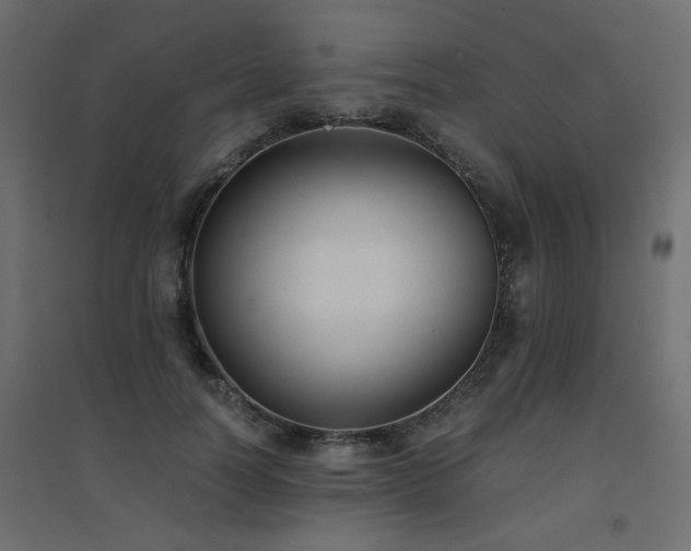 X0000094910746200711291255