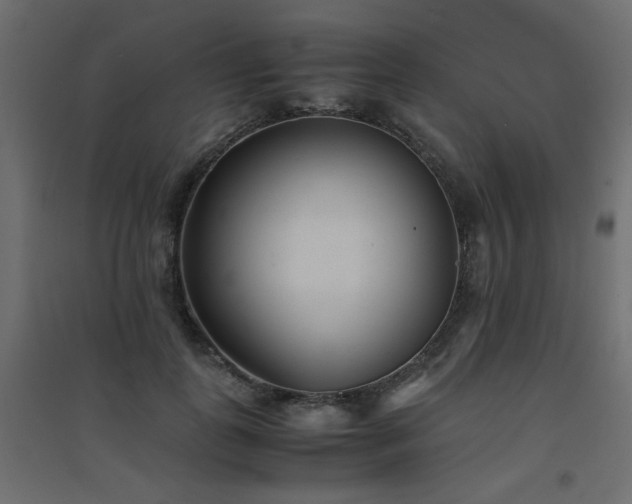 X0000094910747200711291255