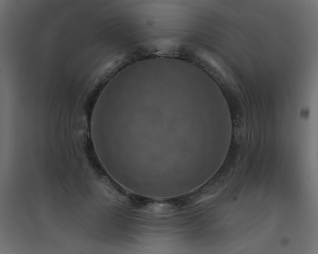 X0000094910748200711291255