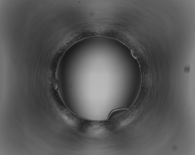 X0000094910750200711291255