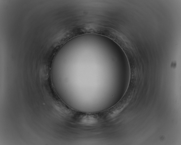 X0000094910751200711291255
