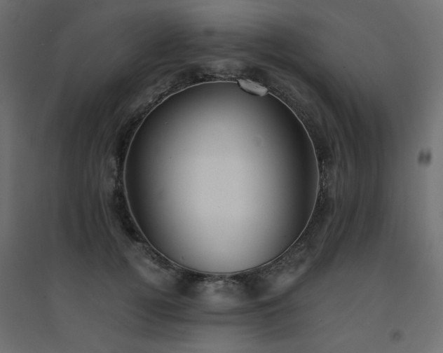 X0000094910752200711291255