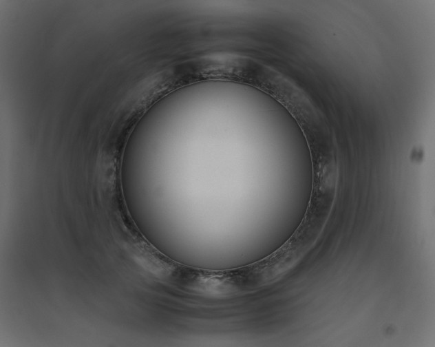 X0000094910753200711291255