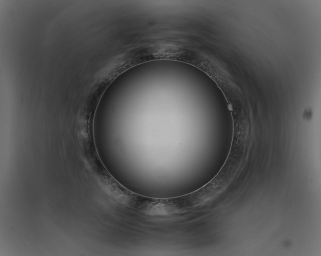 X0000094910755200711291255