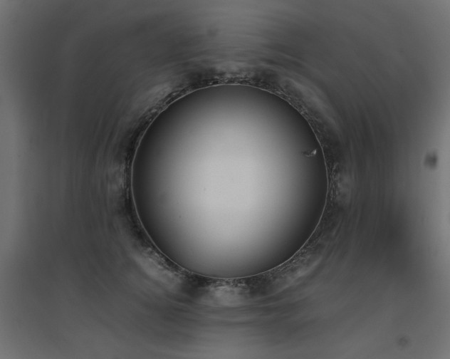 X0000094910756200711291255