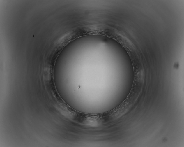 X0000094910757200711291255