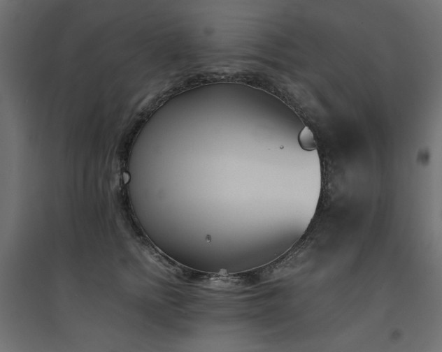 X0000094910758200711291255