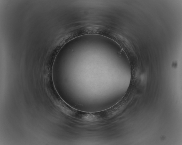 X0000094910759200711291255