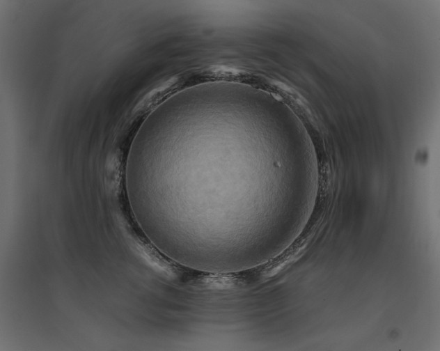 X0000094910762200711291255
