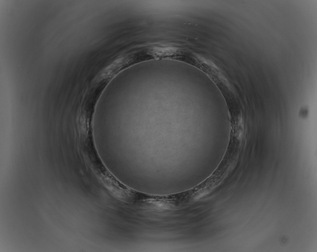 X0000094910763200711291255