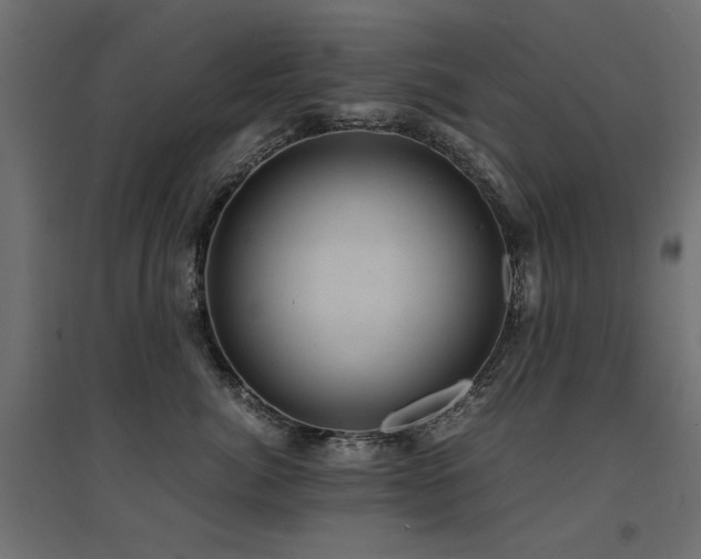 X0000094910764200711291255