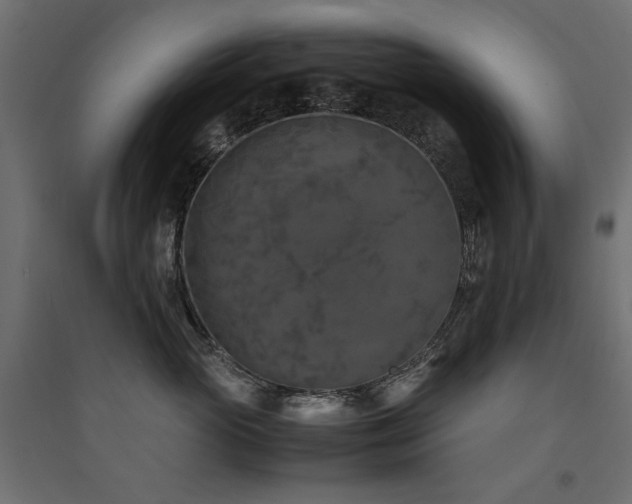 X0000094910765200711291255