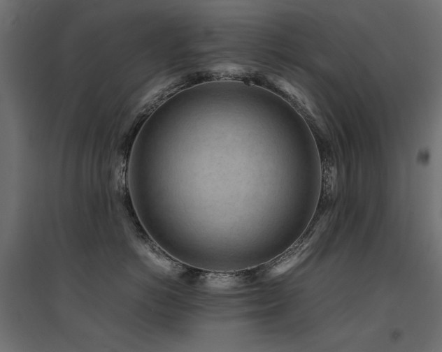 X0000094910766200711291255