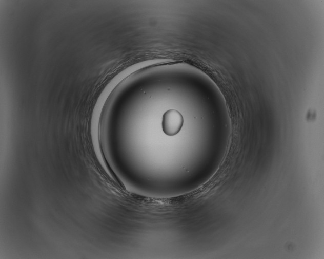 X0000094910768200711291255
