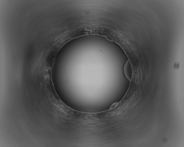X0000094910770200711291254