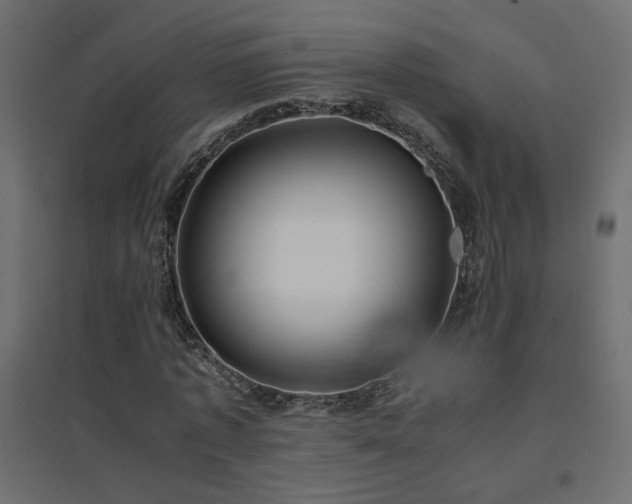 X0000094910773200711291254