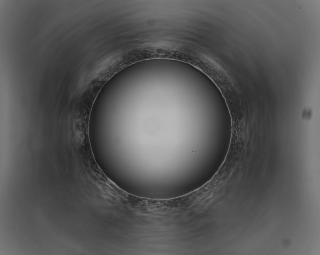 X0000094910774200711291254