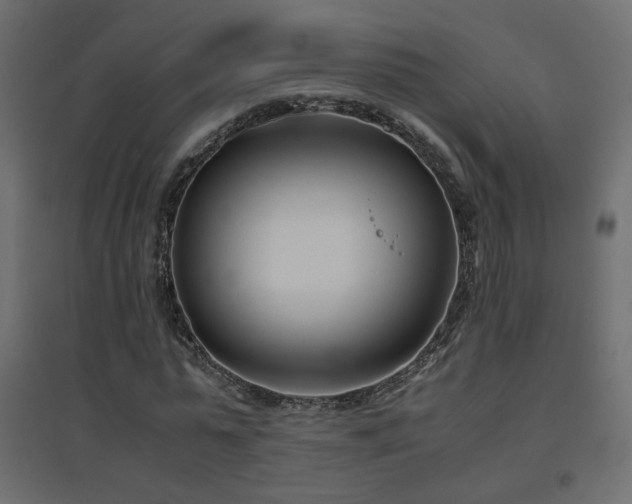 X0000094910775200711291254