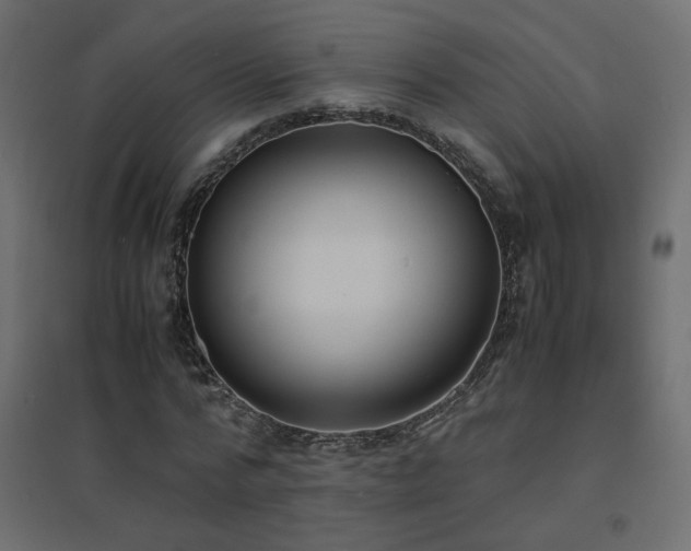 X0000094910776200711291254