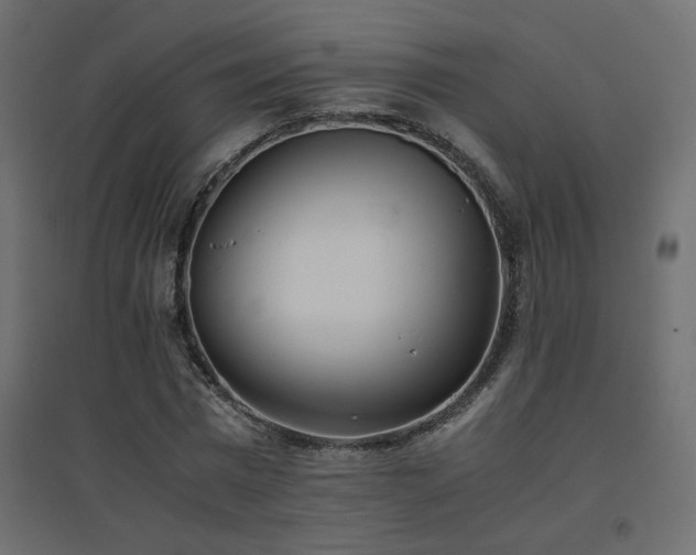 X0000094910777200711291254
