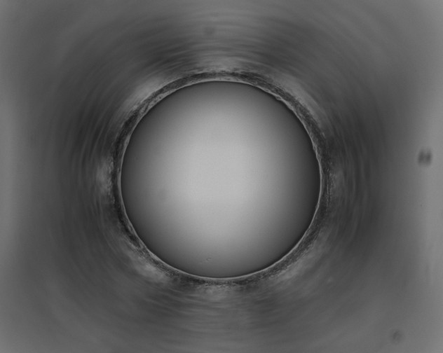X0000094910778200711291254