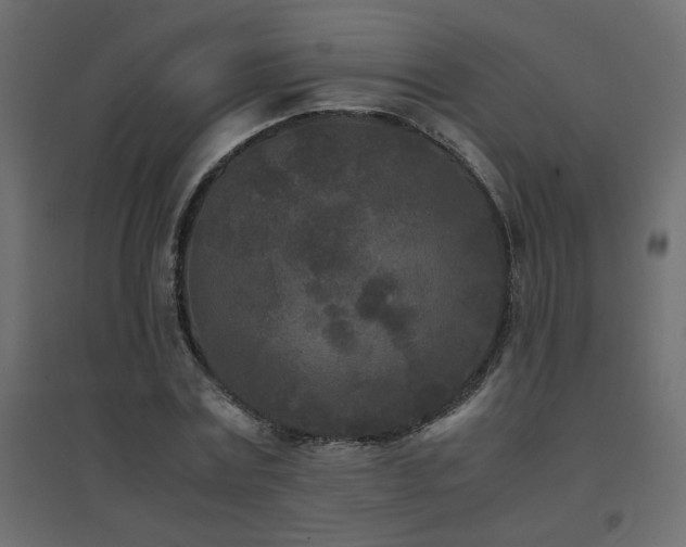 X0000094910779200711291254