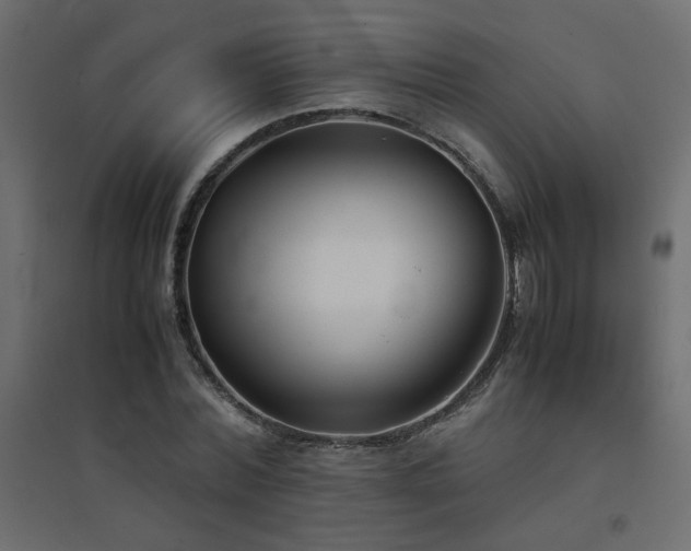 X0000094910780200711291254