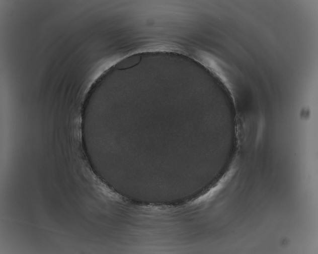 X0000094910781200711291254