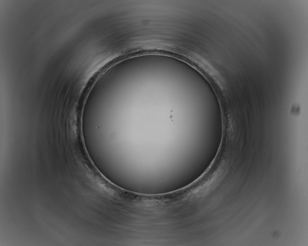 X0000094910782200711291254