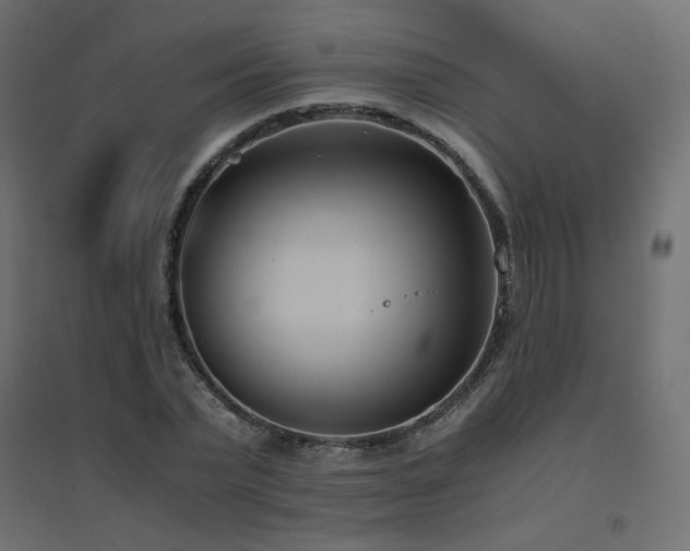 X0000094910783200711291254