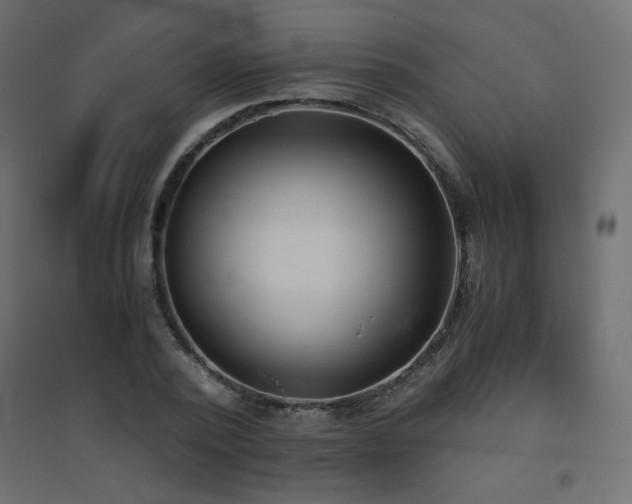 X0000094910784200711291254