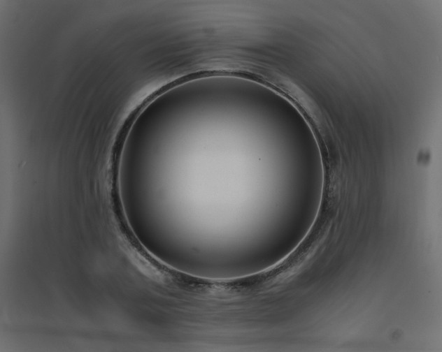 X0000094910787200711291254
