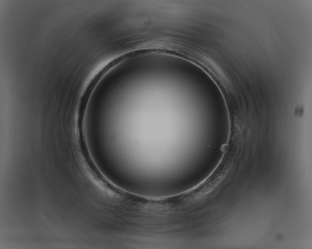 X0000094910788200711291254