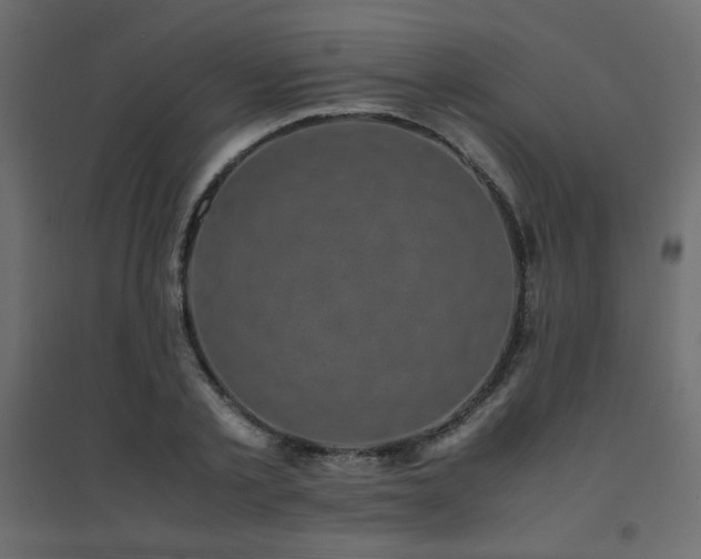 X0000094910789200711291254