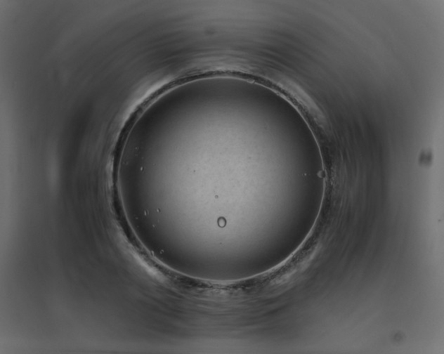 X0000094910790200711291254