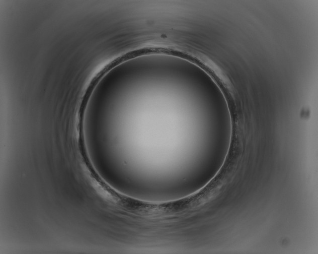X0000094910791200711291254