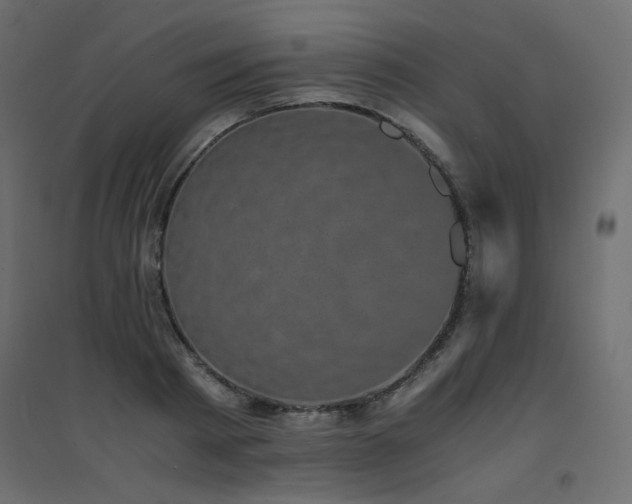 X0000094910793200711291254