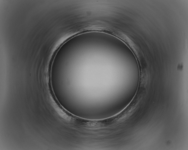 X0000094910795200711291254