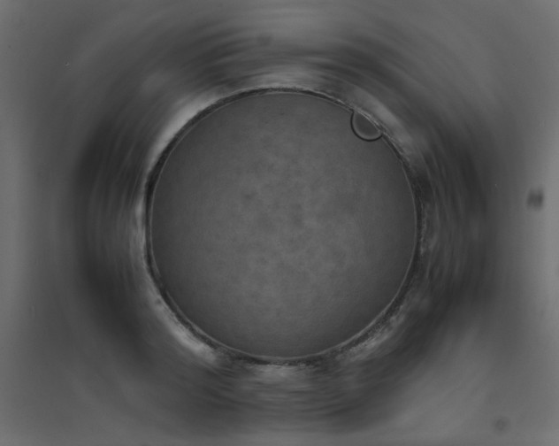 X0000094910796200711291254