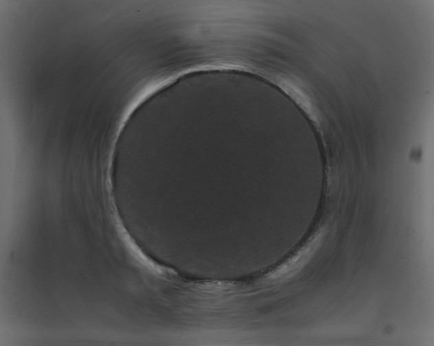 X0000094910797200711291254