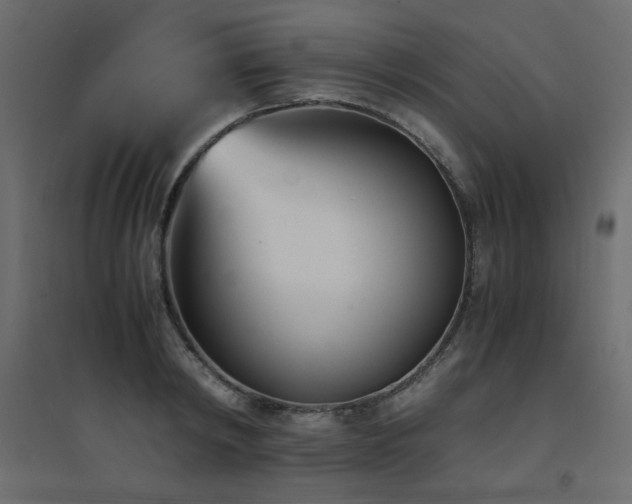 X0000094910798200711291254